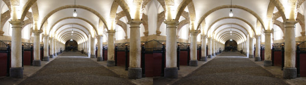 Comment voir en relief des stéréos sur papier ou sur écran