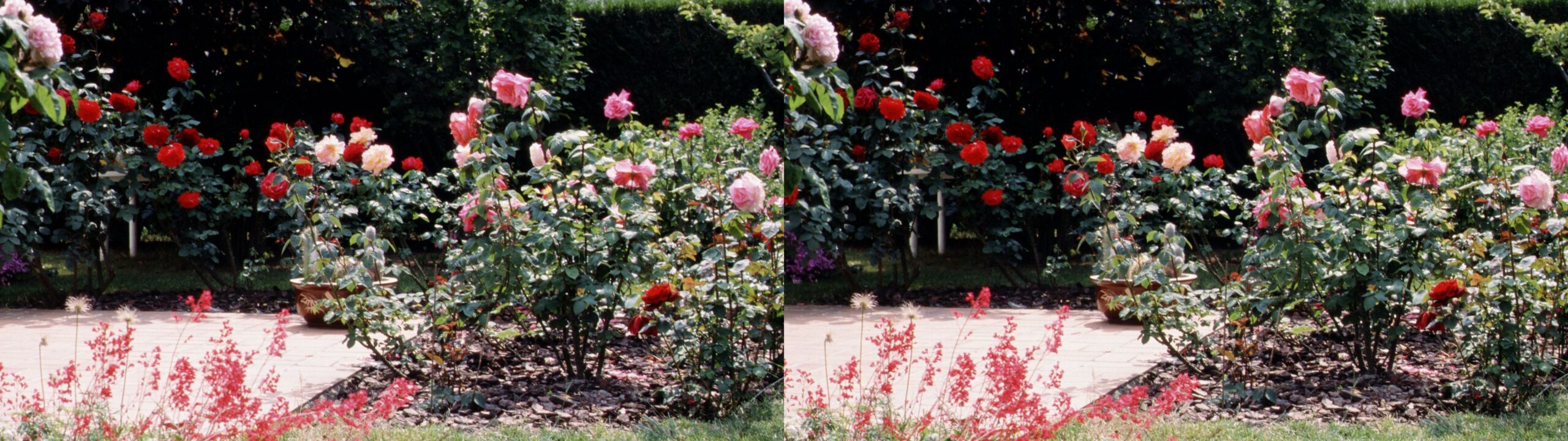 3 jardin violation fenetre