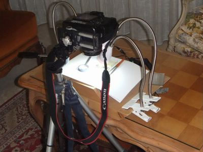 Banc Macro Couchot 2011