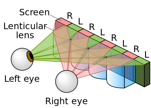 schéma lenticulaire simple