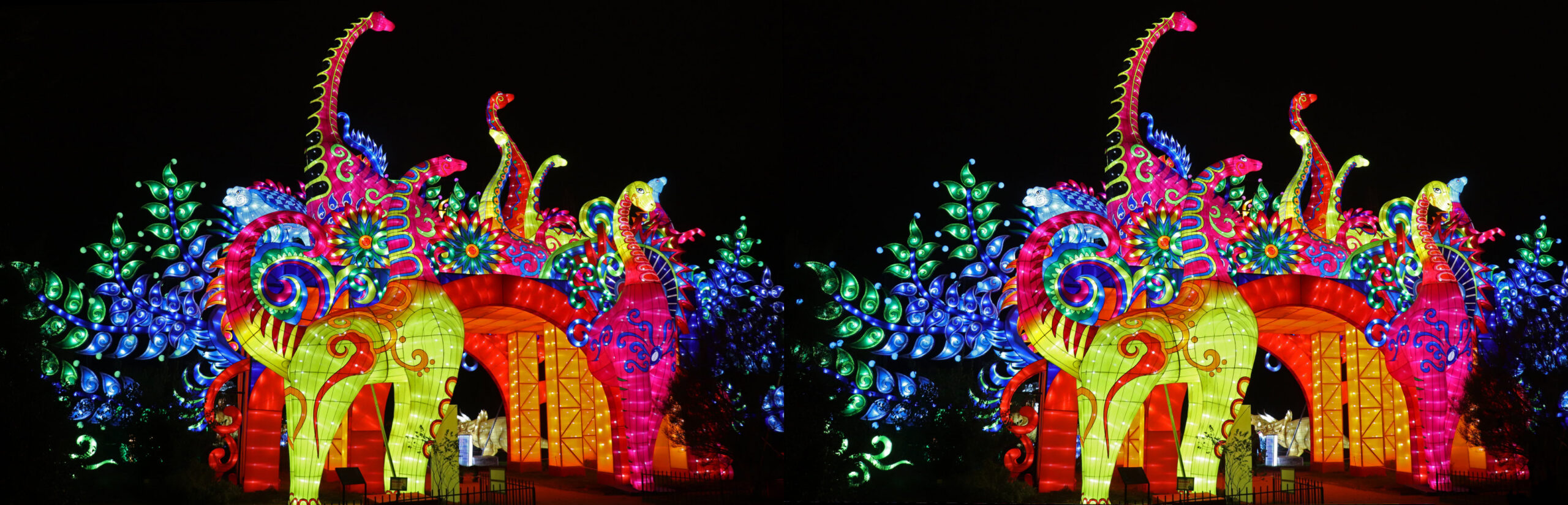 Exposition : Espèces en voie d'Illuminations