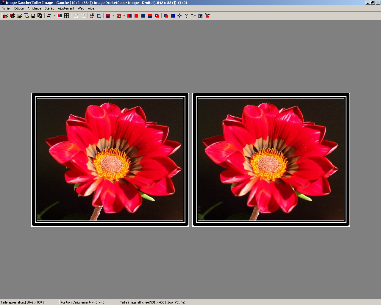 Vision parallele grand