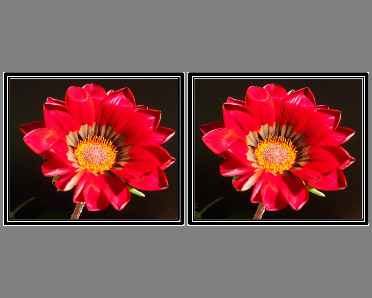 Vision parallele maxi