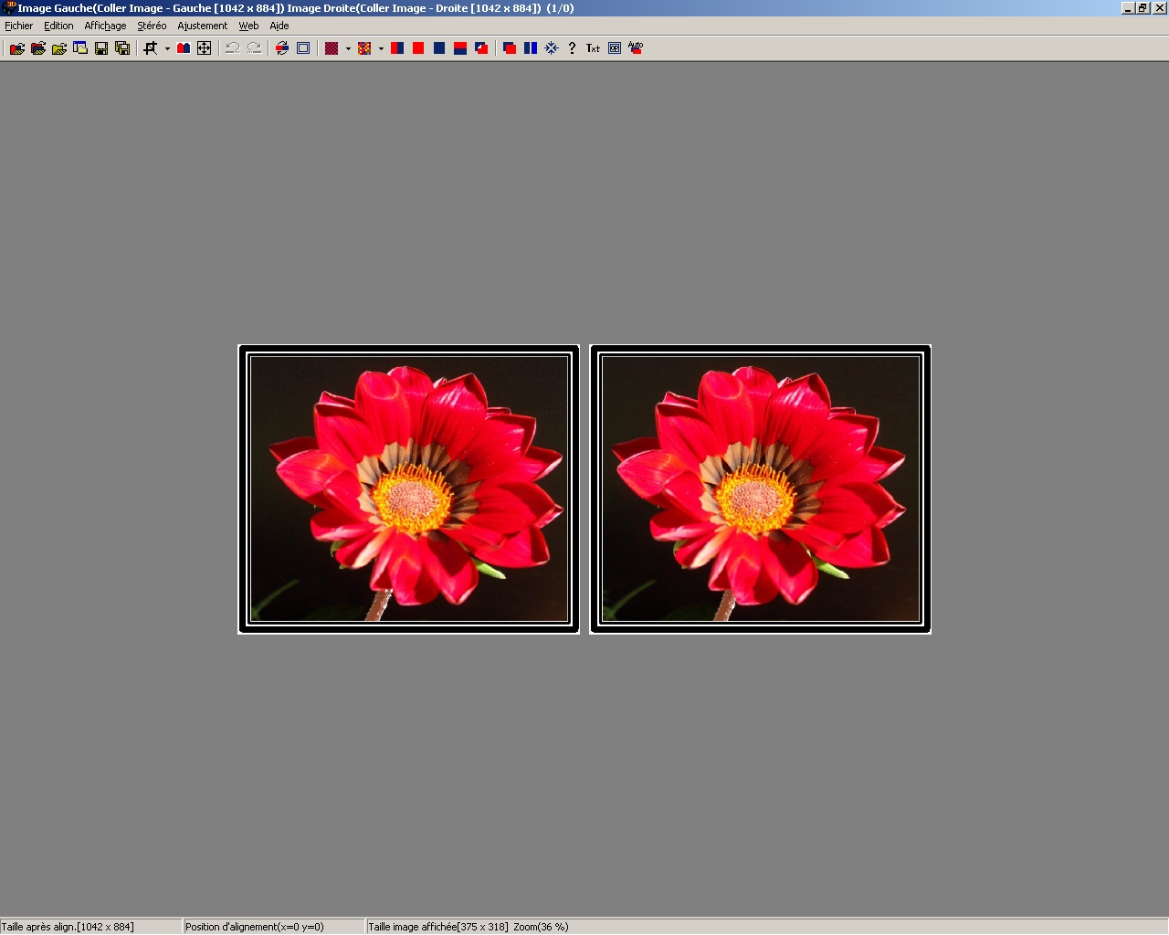 Vision parallele moyen