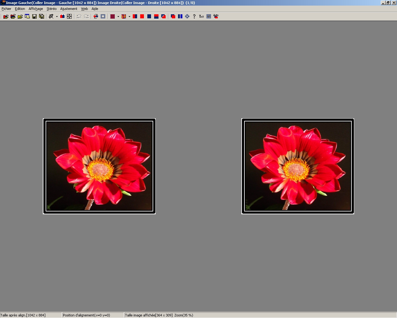 Vision parallele moyen centre
