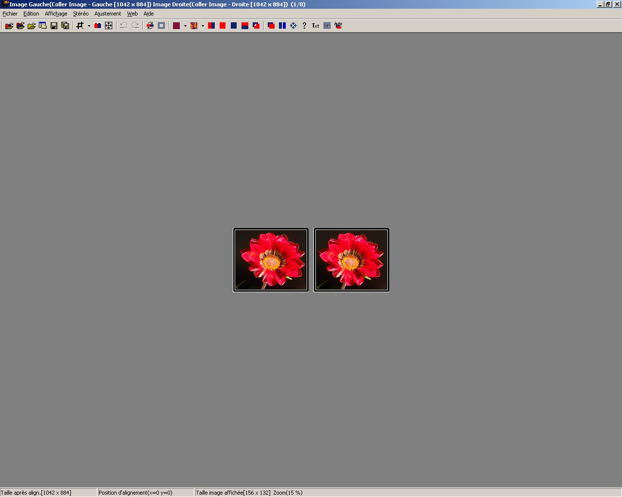 Vision parallele petit