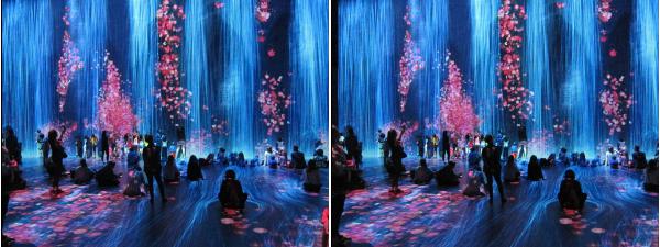 314_ThierryMercier_023_Exposition Team-Lab.JPG