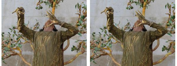 334_ChGarnier_Aix les Bains l_homme arbre.JPG