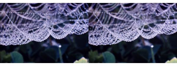 401_ChCouland_68a Goutelettes sur la toile.JPG