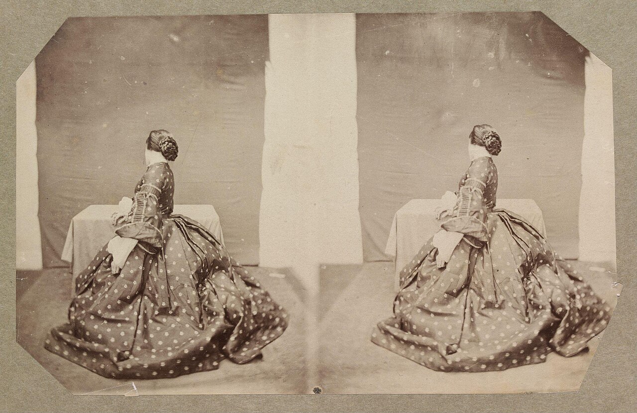 Image illustrant l’article « Aide pour la visionneuse 3D »