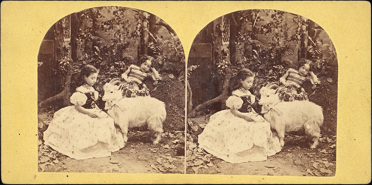 Image illustrant l’article « Albums de photos de séances du SCF »