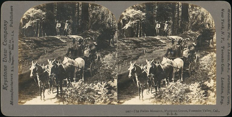 Image ancienne illustrant l’article « Relâche »