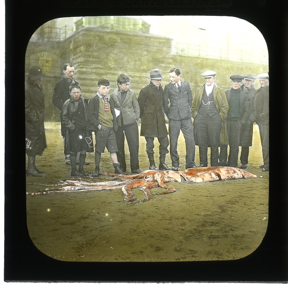 Image ancienne illustrant l’article « En vidéoconférence La photo rapprochée en 3D = proxi-photographie 3D »