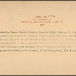 Image ancienne illustrant l’article « 62e Foire Internationale de la Photo »
