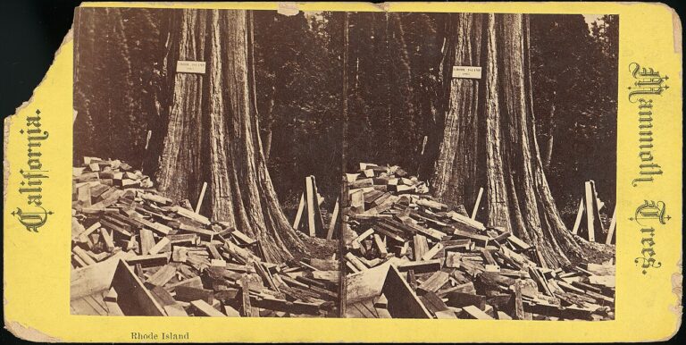 Image ancienne illustrant l’article « Séance en visioconférence »