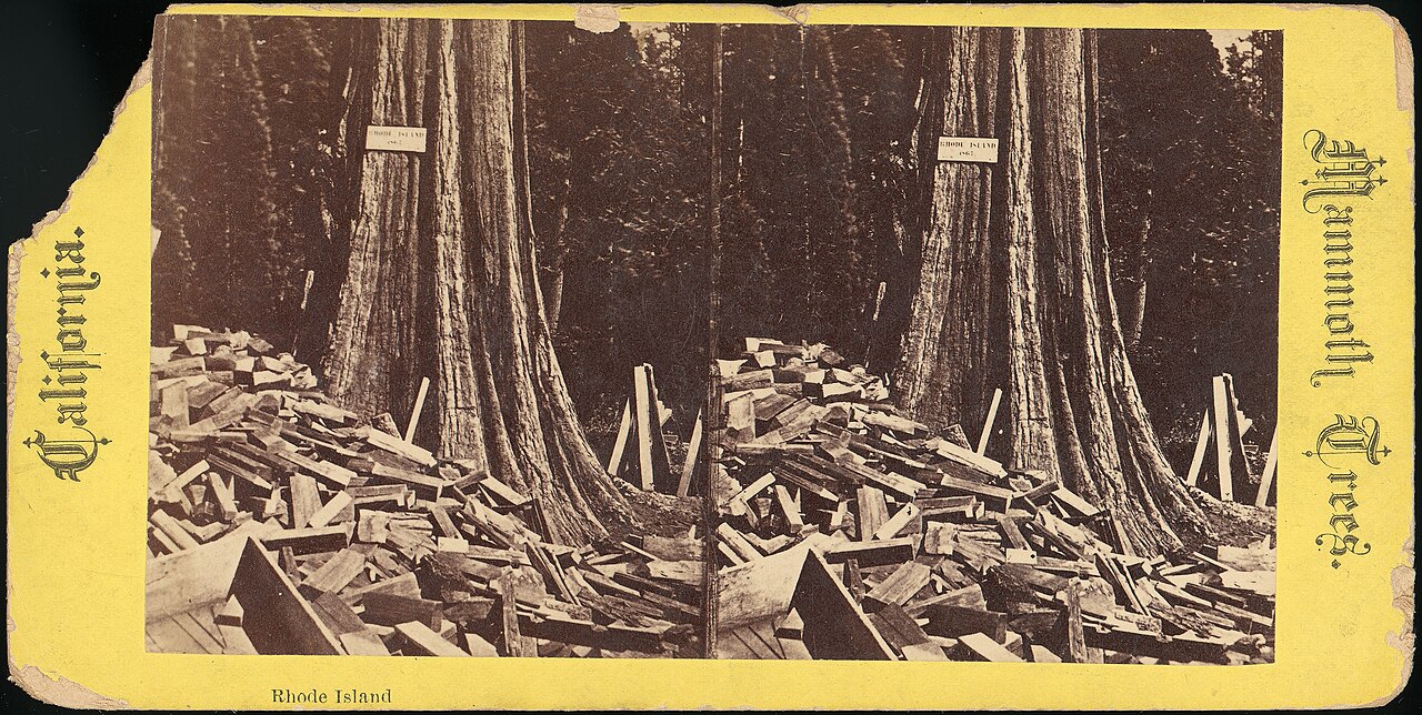 Image ancienne illustrant l’article « Séance en visioconférence »