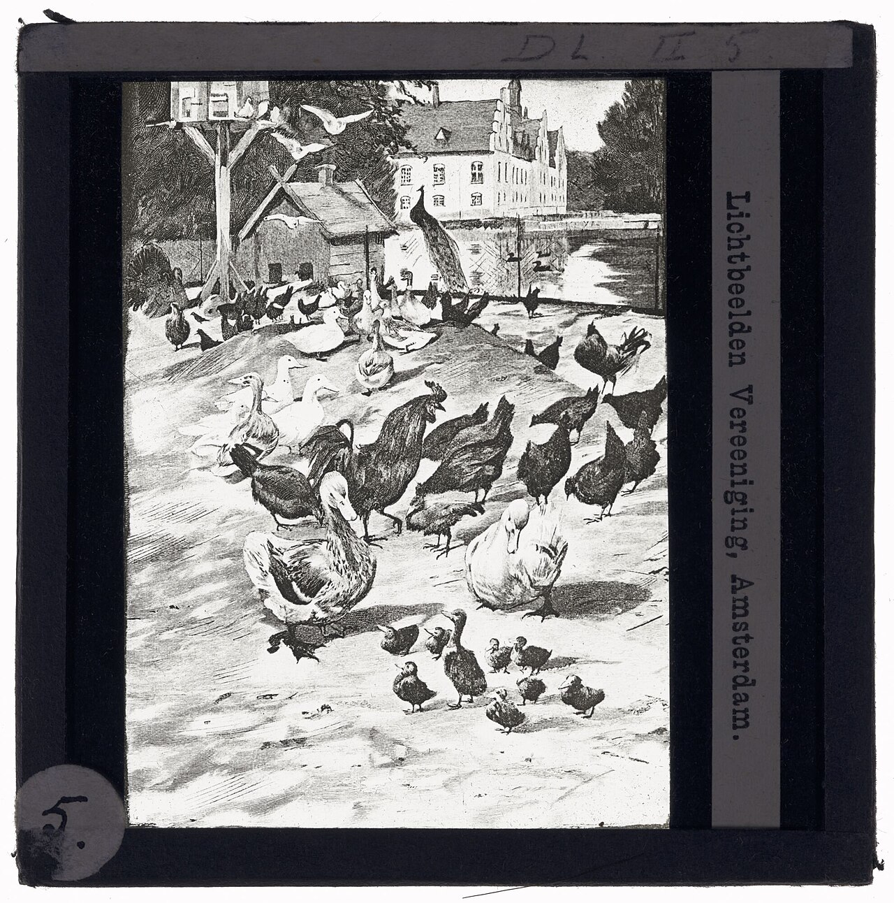 Image ancienne illustrant l’article « Projections 3D virtuelles à domicile »