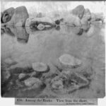 Image ancienne illustrant l’article « Relâche »