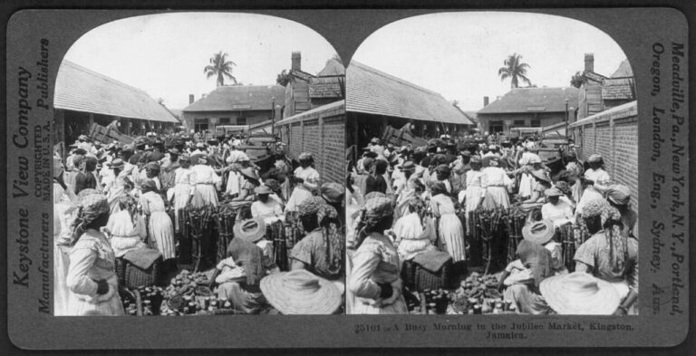 Image illustrant l’article « Appareils photo stéréo et diviseurs optiques »