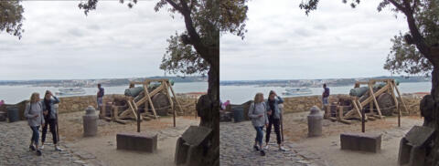 vue du Castelo Sao Jorge