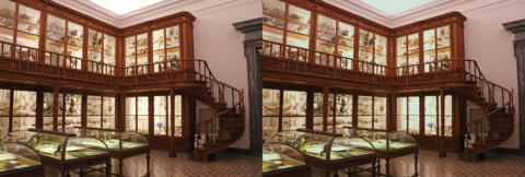 Musée de la science