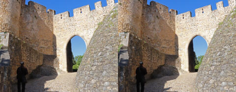 Château des Templiers