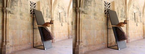 Cloître avec exposition