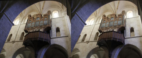 Grandes Orgues de 1501