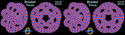Braided Torus