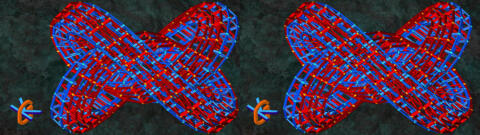 2 paires de cages en forme de noeud