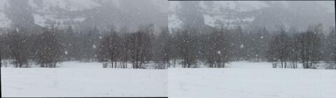 Promenade en raquettes, chute de neige
