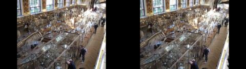 Galerie de Paléontologie du Jardin des Plantes