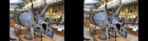 Galerie de Paléontologie du Jardin des Plantes