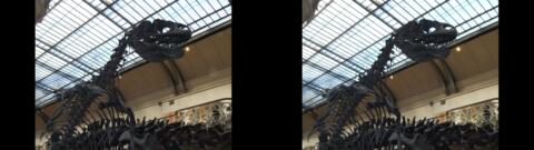 Galerie de Paléontologie du Jardin des Plantes