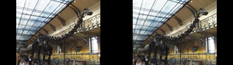 Galerie de Paléontologie du Jardin des Plantes