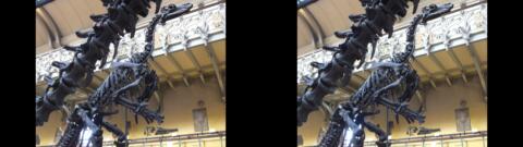 Galerie de Paléontologie du Jardin des Plantes