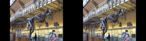 Galerie de Paléontologie du Jardin des Plantes
