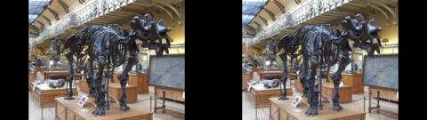 Galerie de Paléontologie du Jardin des Plantes