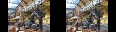 Galerie de Paléontologie du Jardin des Plantes