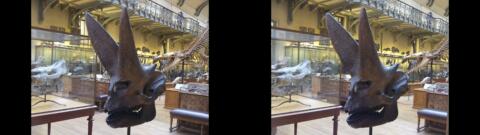 Galerie de Paléontologie du Jardin des Plantes