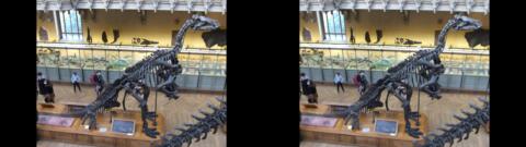 Galerie de Paléontologie du Jardin des Plantes