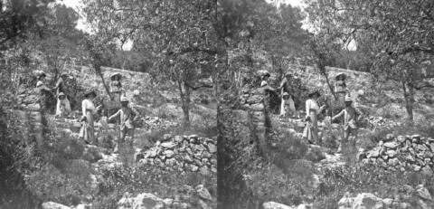 Nice, Eze et environs