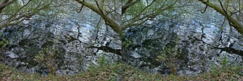 Reflets sur l'eau