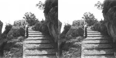 Nice, Eze et environs
