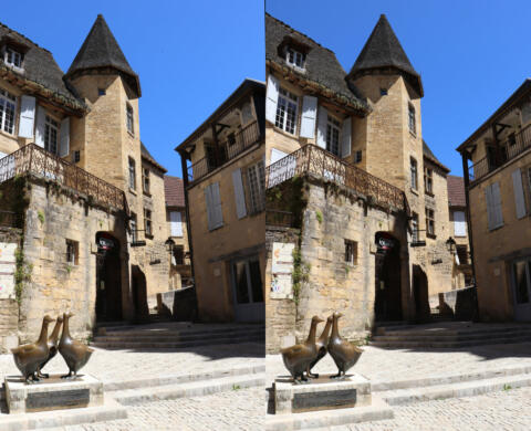 Place du marché aux oies et Maison des consuls