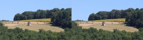 Dans les champs, une borie, abri de berger