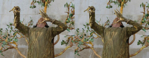 L'homme arbre