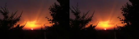 De mon jardin