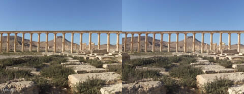 Site antique de Palmyre