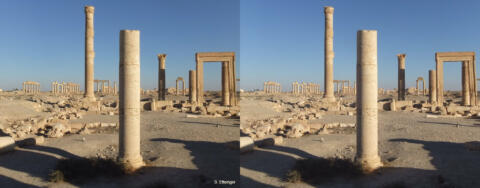 Site antique de Palmyre
